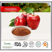 100% natural de alta qualidade cosméticos grau extrato de maçã em pó polifenóis 80% a granel
